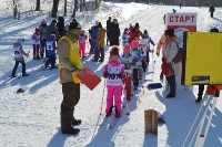 Соревнования по лыжным гонкам, Фото: 28