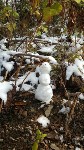 Снег на Сахалине, Фото: 20