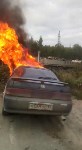 Toyota Chaser сгорела на повороте к селу Молодежному в Тымовском районе, Фото: 4