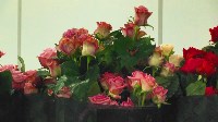 В совхозе «Тепличный» срезают первые в сезоне сахалинские розы, Фото: 4