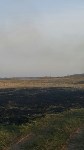 Трава и молодой лес горели в пригороде Южно-Сахалинска, Фото: 5