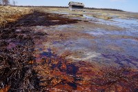 Нефтяной разлив в Ногликском  районе достиг Дагинских термальных источников и Ныйского залива, Фото: 1