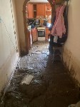 Дом отца-одиночки в Невельском районе утонул в грязи, Фото: 6