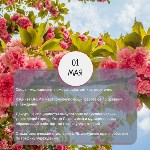 График работы медучреждений Сахалинской области в майские праздники, Фото: 2
