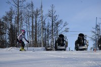 В Томари начался чемпионат области по горным лыжам, Фото: 15
