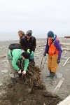 Спасатели и волонтеры устроили субботник на острове Тюленей, Фото: 8