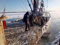 Наважья путина в разгаре на Сахалине, Фото: 1