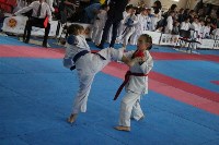 Открытое первенство города по каратэ WKF прошло в Южно-Сахалинске, Фото: 20