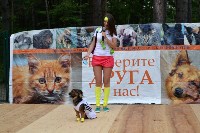 В рамках выставки беспородных собак в Южно-Сахалинске 8 питомцев обрели хозяев, Фото: 30