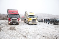 Около сотни благородных оленей доставили на Сахалин, Фото: 7