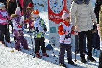 Соревнования по лыжным гонкам, Фото: 31