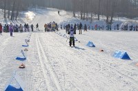 Соревнования по лыжным гонкам, Фото: 18
