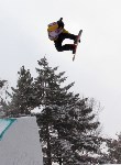 Состязания сноубордистов , Фото: 4