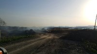 Трава и молодой лес горели в пригороде Южно-Сахалинска, Фото: 2