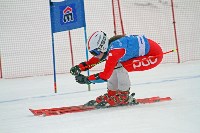Борьба за кубки области и федерации горнолыжного спорта и сноуборда , Фото: 10
