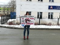 Десятки сахалинцев вышли на одиночные пикеты ради спасения косаток , Фото: 8