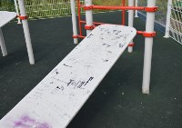 Вандалы разрушают детские площадки и скверы в Холмске, Фото: 15