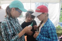 Более 200 сахалинских ребят посетили эколагерь «Родник» этим летом, Фото: 3