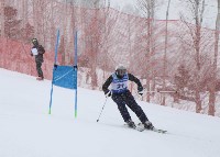 Ветераны горнолыжного спорта показали мастерство на «Горном воздухе», Фото: 16