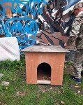 Южносахалинка: "Коммунальщики обрекли собак на холодную смерть", Фото: 2