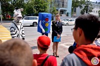 В Южно-Сахалинске «зебры» дополнили предостерегающими надписями, Фото: 2