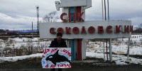 Десятки сахалинцев вышли на одиночные пикеты ради спасения косаток , Фото: 11