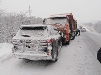 Lexus и КамАЗ столкнулись в Углегорском районе, Фото: 1