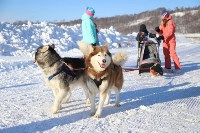 Сотня сахалинцев устроила лыжный забег в рамках «Декады спорта-2021», Фото: 31