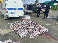 Красную икру и сотни лососей изъяли сотрудники ДПС у двух водителей на Сахалине, Фото: 4