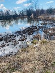 Свалку обнаружили в районе очистных сооружений, Фото: 4