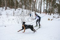 Сахалинцы впервые приняли участие в Чемпионате России по ездовому спорту, Фото: 3