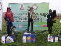 На Сахалине определили самые «Шустрые лапы-2018», Фото: 14