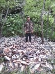 Крупный браконьерский стан обнаружили в Смирныховском районе, Фото: 2