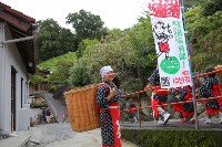 Сбор зеленого чая в Мищима , префектура Щидзуока., Фото: 27