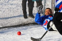 хоккей в валенках. начало 2015, Фото: 20