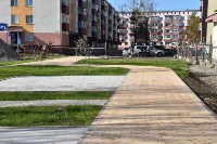 Новый сквер с фигурами морских животных откроют в Поронайске, Фото: 6
