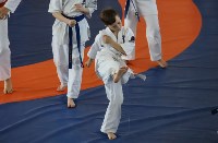 Трёхкратный чемпион мира по каратэ-киокусинкай провёл мастер-класс для юных сахалинцев, Фото: 4