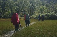 Южносахалинские туристы поднялись на гору Шпамберг, Фото: 1