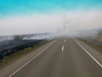 Сразу два лесных пожара разгорелись на Сахалине, Фото: 1