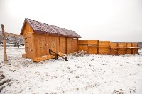 Около сотни благородных оленей доставили на Сахалин, Фото: 44