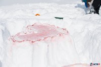 Поляна любви-2014, Фото: 73