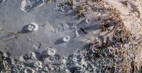 Ледопады Жданко, Фото: 69