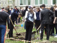 сирень, Фото: 8