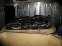 Перекупщика лосося, добытого браконьерами, задержали на Сахалине, Фото: 1