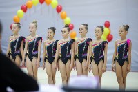 Турнир по эстетической гимнастике прошел на Сахалине, Фото: 7