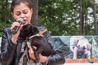 В рамках выставки беспородных собак в Южно-Сахалинске 8 питомцев обрели хозяев, Фото: 9