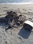 Мусор оставили на мысе Крильон, Фото: 2