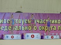 Чемпионат ДФО по художественной гимнастике завершился в Южно-Сахалинске , Фото: 2
