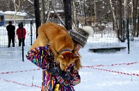 Собачьи бега в Южно-Сахалинске, Фото: 28