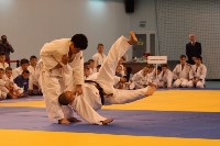 Второй год подряд в Южно-Сахалинске проводится международный турнир по дзюдо, Фото: 24